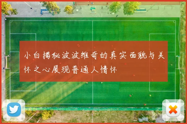小白揭秘波波维奇的真实面貌与关怀之心展现普通人情怀