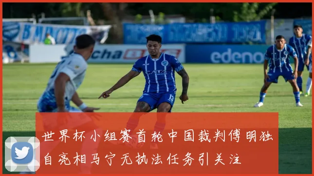 世界杯小组赛首轮中国裁判傅明独自亮相马宁无执法任务引关注